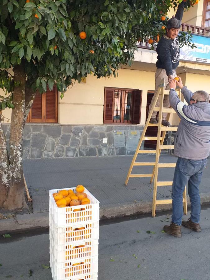 La Francisca Διαμέρισμα San Salvador de Jujuy Εξωτερικό φωτογραφία